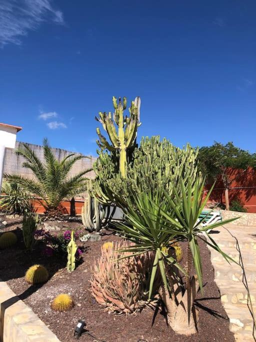 San Bartolomé Casa Macken Con Piscina Climatizada Y Jacuzzi 빌라 객실 사진